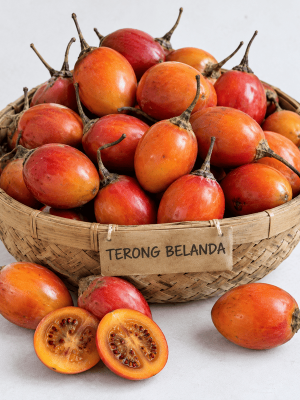 Terong Belanda Segar